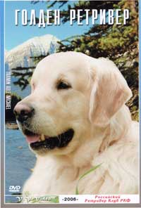 Обложка к DVD диску с фильмом -
Голден ретривер (Золотистый ретривер)
