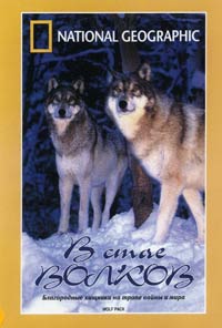 Обложка к DVD диску с фильмом -
В стае волков (НГО)